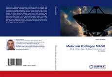 Portada del libro de Molecular Hydrogen MAGIE
