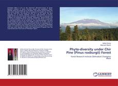 Buchcover von Phyto-diversity under Chir Pine (Pinus roxburgii) Forest
