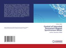 Copertina di Control of Saturated Permanent Magnet Synchronous Motor