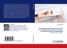 Strategic Business Practices of Small Scale Companies的封面