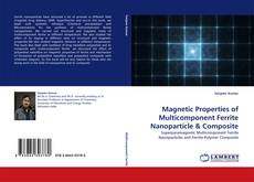 Magnetic Properties of Multicomponent Ferrite Nanoparticle & Composite kitap kapağı