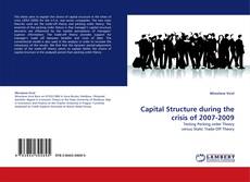 Capa do livro de Capital Structure during the crisis of 2007-2009 