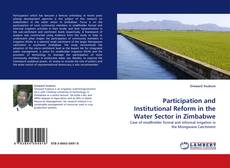 Capa do livro de Participation and Institutional Reform in the Water Sector in Zimbabwe 