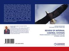 REVIEW OF INTERNAL CONTROL SYSTEMS kitap kapağı