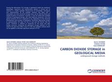 Capa do livro de CARBON DIOXIDE STORAGE in GEOLOGICAL MEDIA 