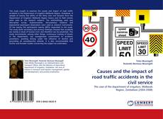 Couverture de Causes and the impact of road traffic accidents in the civil service