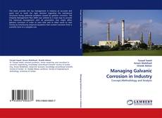 Managing Galvanic Corrosion in Industry kitap kapağı