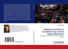Indigenous workers in Guatemala City and the Mayan Movement的封面