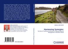 Обложка Harnessing Synergies: