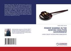 POWER SHARING IN THE KENYAN COALITION GOVERNMENT kitap kapağı