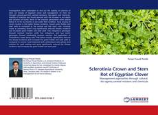 Copertina di Sclerotinia Crown and Stem Rot of Egyptian Clover