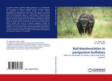 Buchcover von Bull-biostimulation in postpartum buffaloes