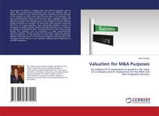 Capa do livro de Valuation for M&A Purposes 