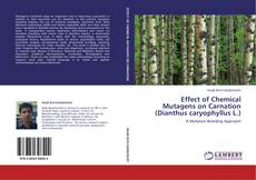 Couverture de Effect of Chemical Mutagens on Carnation (Dianthus caryophyllus L.)