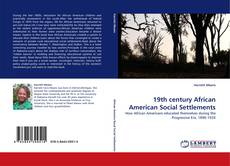 Couverture de 19th century African American Social Settlements