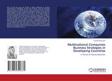 Bookcover of Multinational Companies Business Strategies in Developing Countries