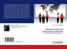 Financial Crises and Transmission Channels kitap kapağı