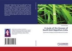 Copertina di A study of the Grasses of South-East Rajasthan,India