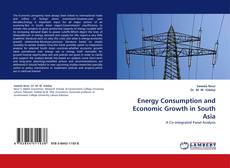 Buchcover von Energy Consumption and Economic Growth in South Asia