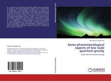 Buchcover von Some phenomenological aspects of low scale quantum gravity