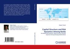 Capa do livro de Capital Structure and Risk Dynamics Among Banks 