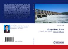 Buchcover von Plunge Pool Scour