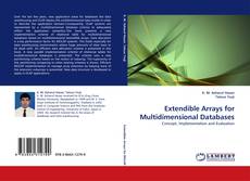 Capa do livro de Extendible Arrays for Multidimensional Databases 