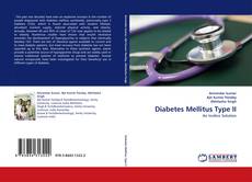 Buchcover von Diabetes Mellitus Type II