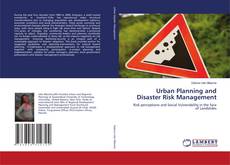 Capa do livro de Urban Planning and Disaster Risk Management 