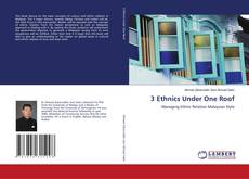Portada del libro de 3 Ethnics Under One Roof
