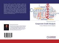 Corporate Credit Analysis kitap kapağı