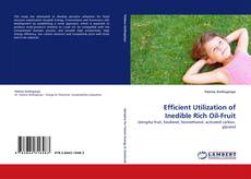 Bookcover of Efficient Utilization of Inedible Rich Oil-Fruit