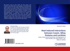 Heat Induced Interactions between Casein, Whey Proteins and Lecithins的封面