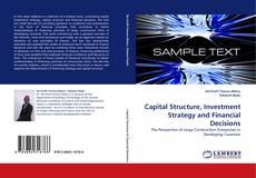 Borítókép a  Capital Structure, Investment Strategy and Financial Decisions - hoz