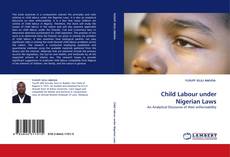 Buchcover von Child Labour under Nigerian Laws