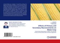 Capa do livro de Effects of Primary and Secondary Macronutrients on Maize Crop 