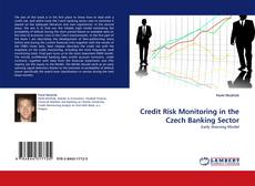 Credit Risk Monitoring in the Czech Banking Sector的封面