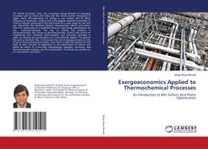 Capa do livro de Exergoeconomics Applied to Thermochemical Processes 