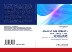 Capa do livro de GRADIENT TYPE METHODS FOR LARGE SCALE OPTIMIZATION 