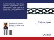 Buchcover von The Braid Groups