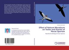 Portada del libro de Effect of Natrum Muraticum on Testes and Ovaries of House Sparrow