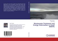 Copertina di Wastewater Treatment and Energy Valorisation in Small WWTPs