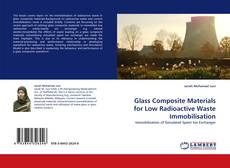 Portada del libro de Glass Composite Materials for Low Radioactive Waste Immobilisation