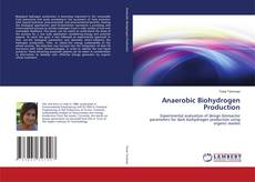 Capa do livro de Anaerobic Biohydrogen Production 