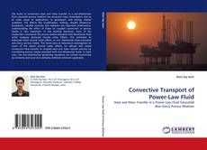 Capa do livro de Convective Transport of Power-Law Fluid 