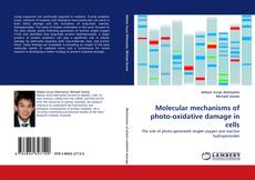 Portada del libro de Molecular mechanisms of photo-oxidative damage in cells