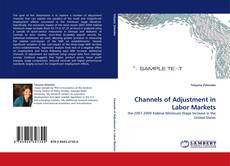 Channels of Adjustment in Labor Markets的封面