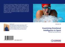 Copertina di Examining Emotional Intelligence in Sport