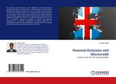 Capa do livro de Financial Exclusion and Microcredit 