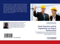 Buchcover von Asset Structure and its Implication on Project Performance